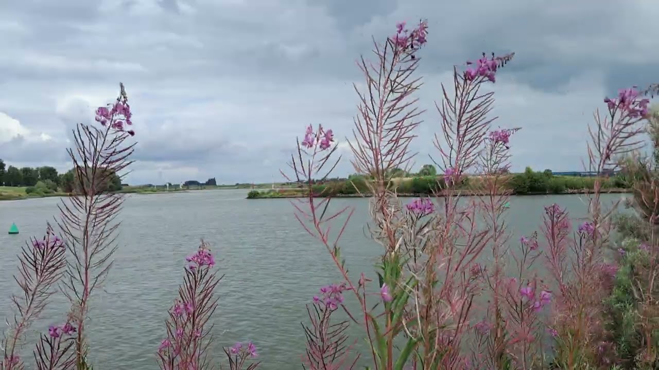 Rivier De Lek bij Vianen
