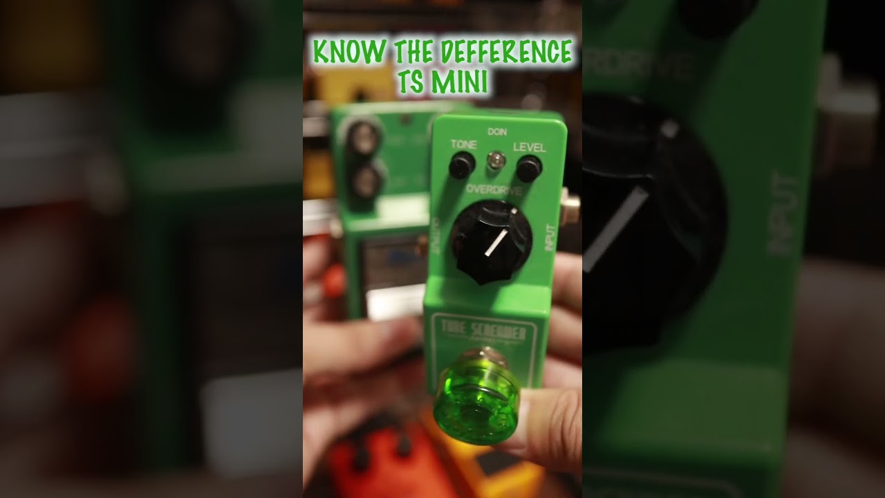 TUBE SCREAMER2種の違い🎸TS9DX/TS MINI #ibanez #tubescreamer #ts9 #tsmini