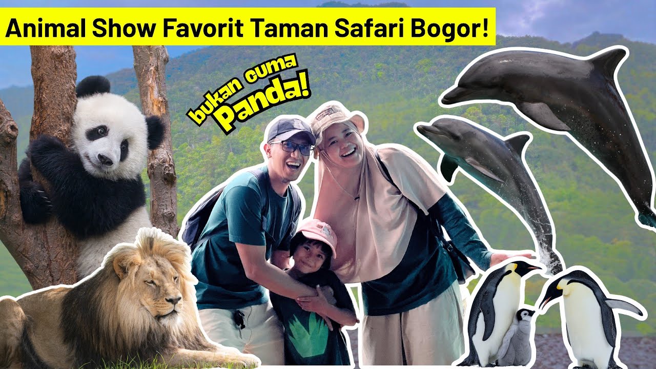 TAMAN SAFARI BOGOR TERBARU - REVIEW LENGKAP - ADA ISTANA PANDA DISINI!