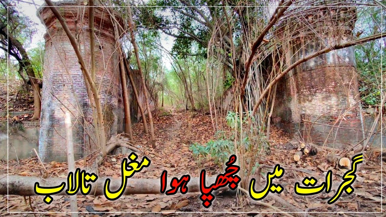 Hidden Mughal Reservoir in Pabbi Forest, Gujrat | Lost Landmark #history #travel