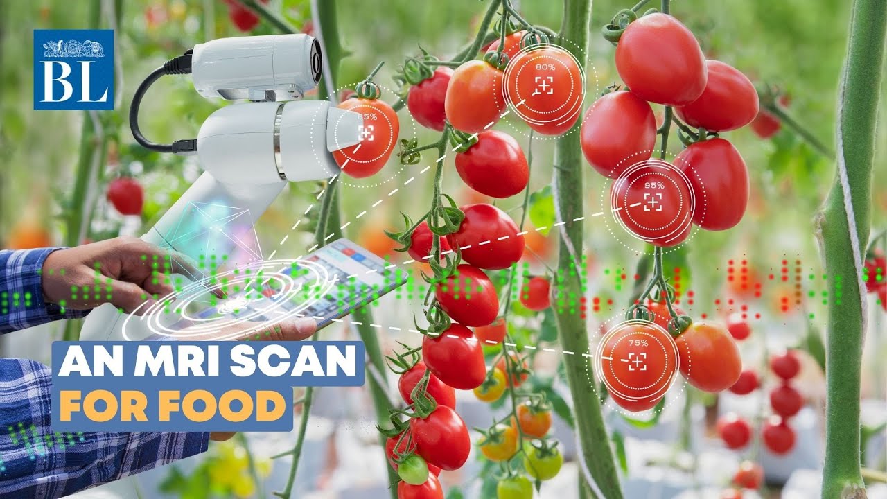 An MRI scan for food
