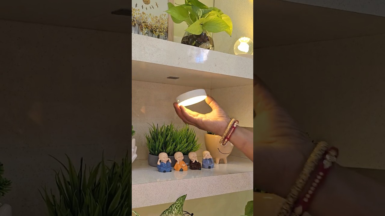 Home decor ideas with best indoor plants 🪴 #indoor #decor