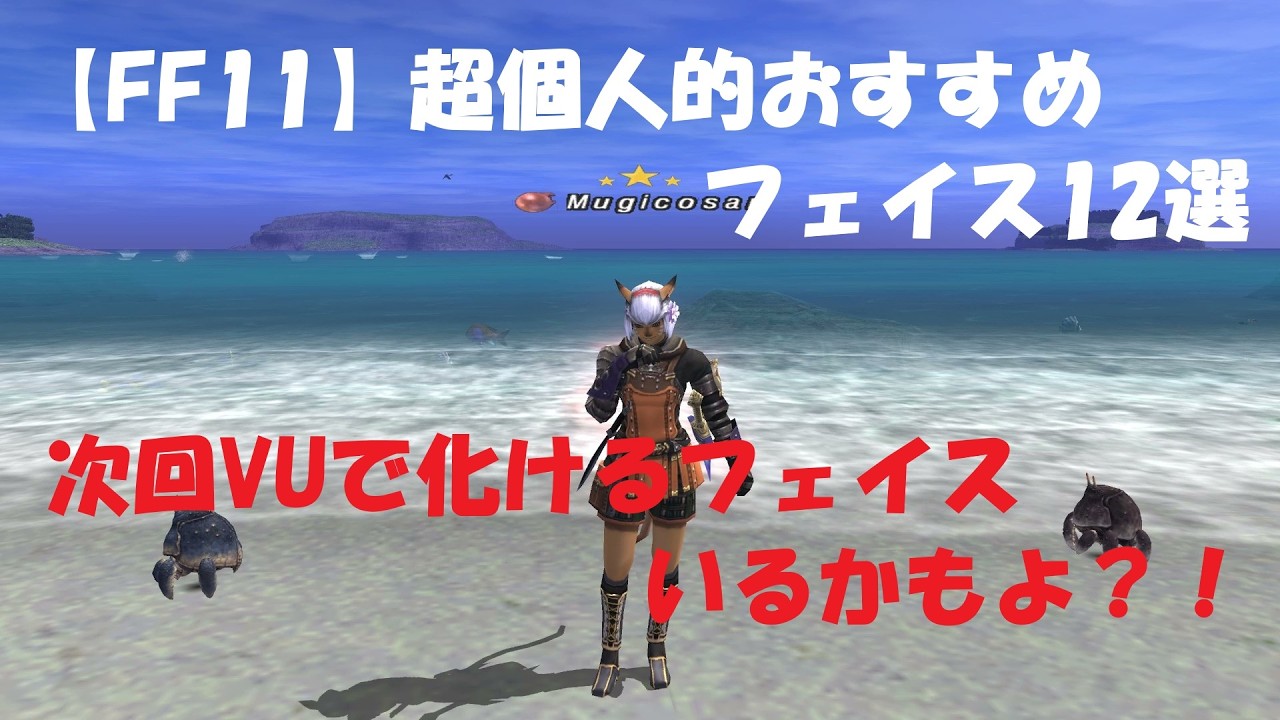 【FF11】超個人的おすすめフェイス12選
