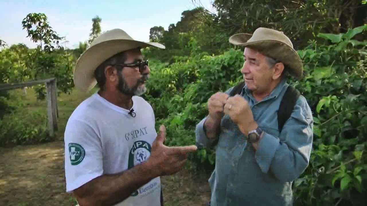 Ervas e Plantas | Farmácia Fitoterápica de Porto Velho | Parte 1/3