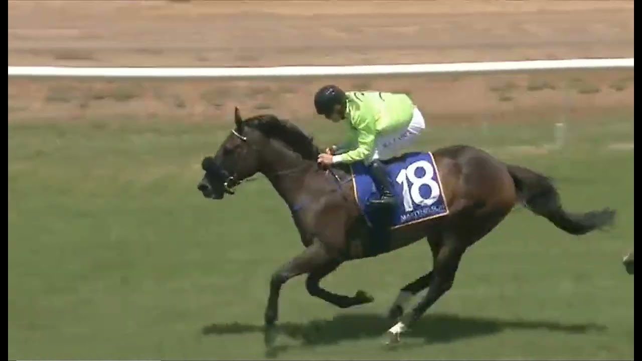 RACE 2 - DUBBO - AUSTRALIA - 02 FEB 2026