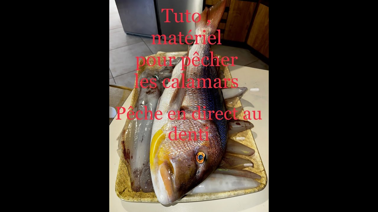 Tutoriel pour vous expliquez ma technique et matériel pour la pêche aux calamars et denti