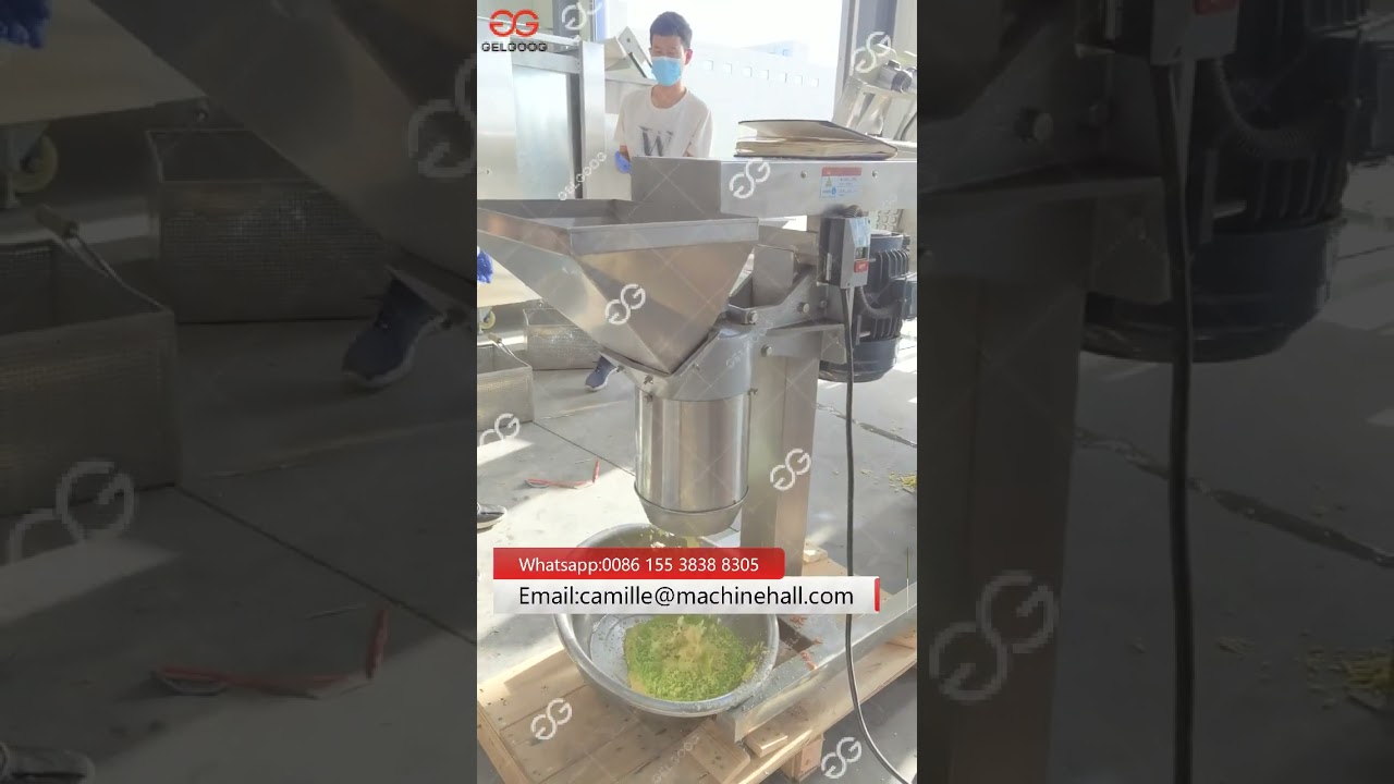 Green Chilli Mudding Grinding Machine