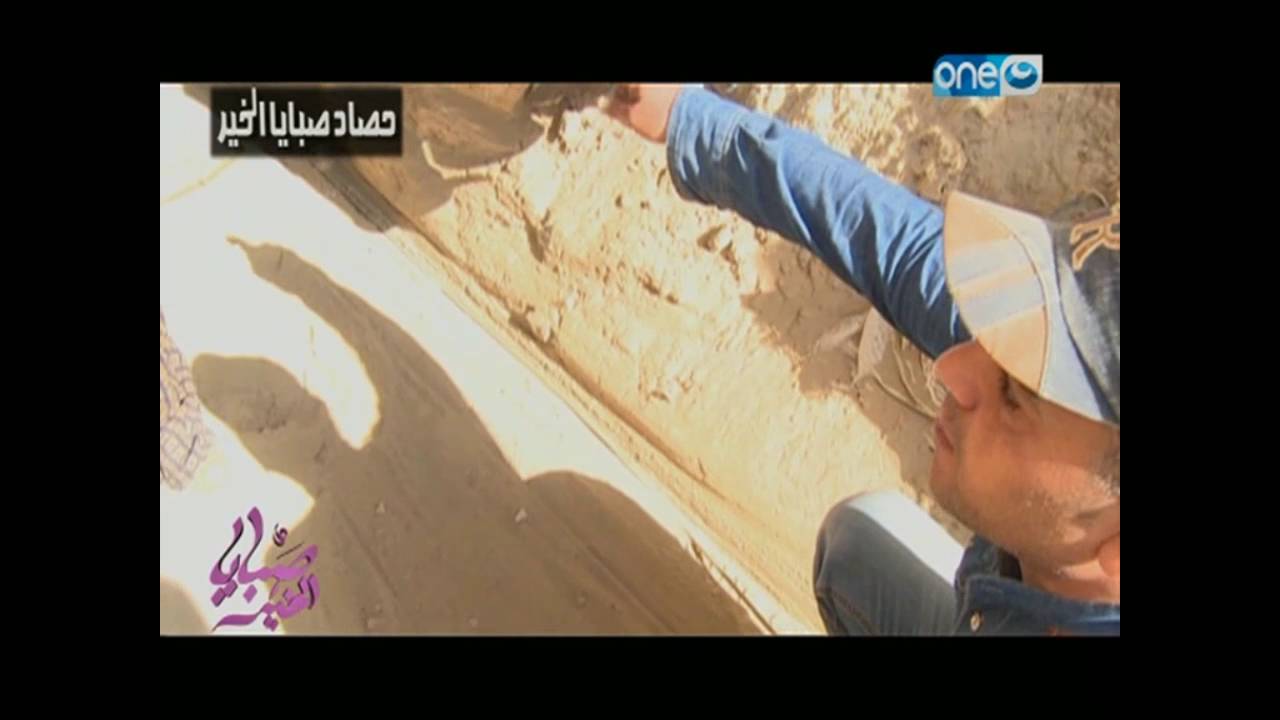 صبايا الخير|  شاهد لحظة تهريب مواد بناء من أنفاق غزة  !