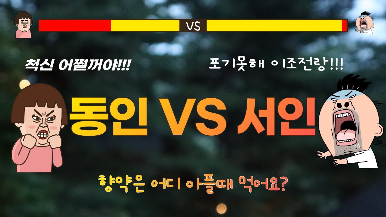 조선 서원, 향약, 붕당 4분 컷
