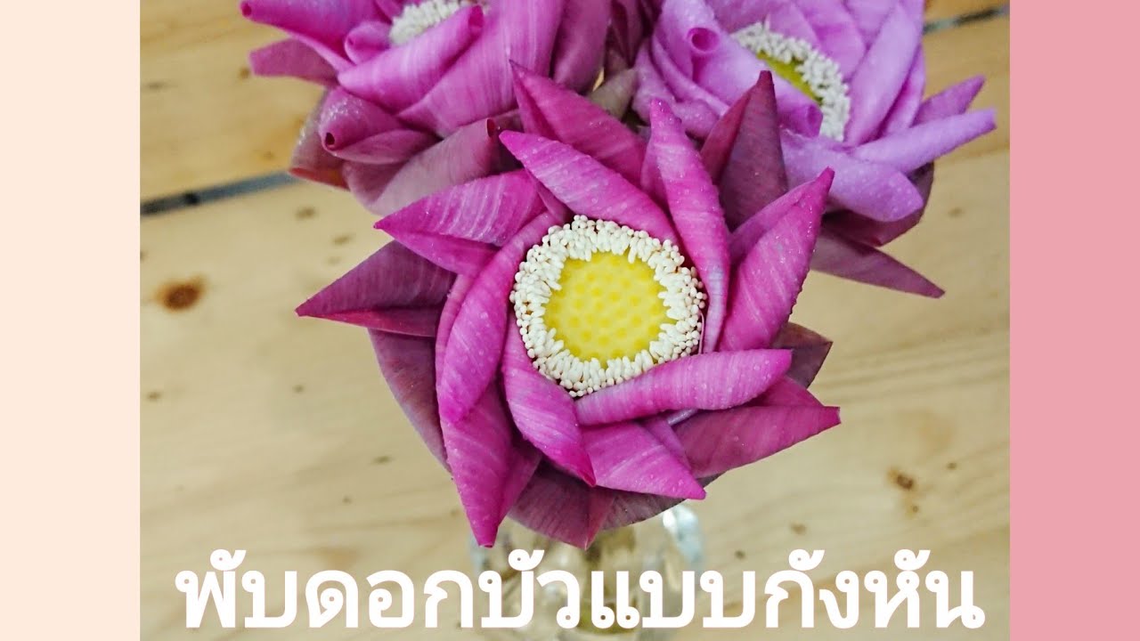 พับดอกบัว​แบบ​ที่​5 บัวหลวง​พับ​แบบ​กังหัน​ (how to​ fold​ lotus​#5wind turbine)