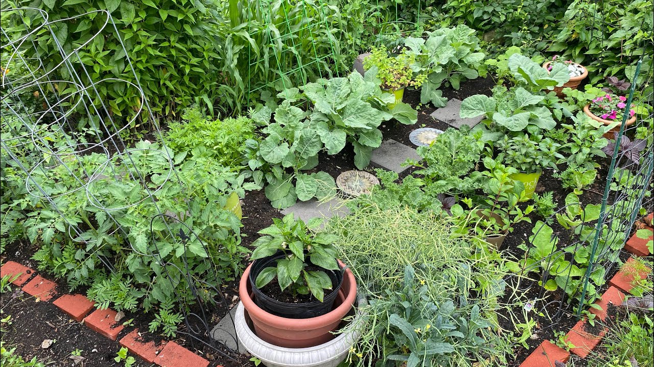 5 tips for Knowing When to Start a Garden - Don't rush the season!!!! #beginnergardening