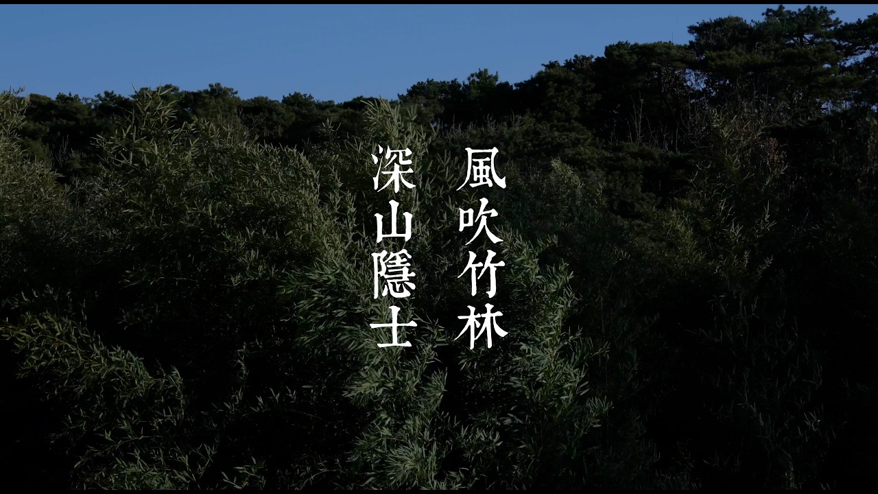 4K Bamboo In The Wind - Gentle Rustling Sound For Relax - Real Natural Scene - 2 Hours