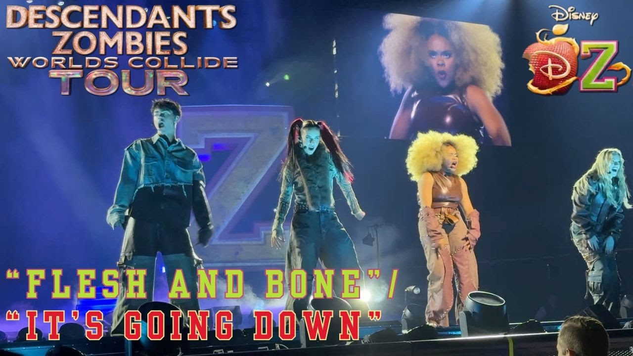 &ldquo;Flesh and Bone&rdquo; / &ldquo;It&rsquo;s Going Down&rdquo; Mashup &ndash; Live from Worlds Collide Tour (San Jose)