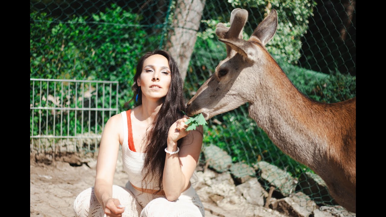 AVAL+- - Bambi