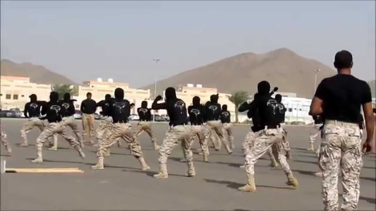 عرض فريق الدفاع عن النفس العسكري
