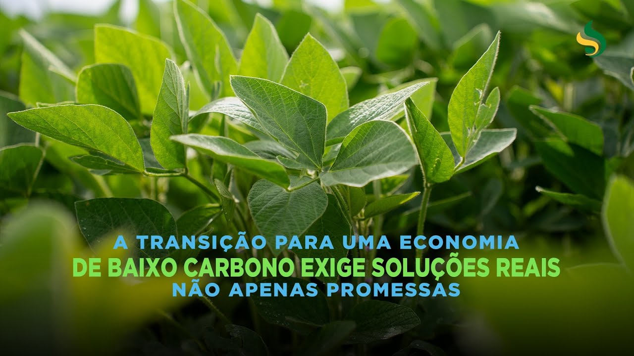 A transição para uma economia de baixo carbono exige soluções reais não apenas promessas