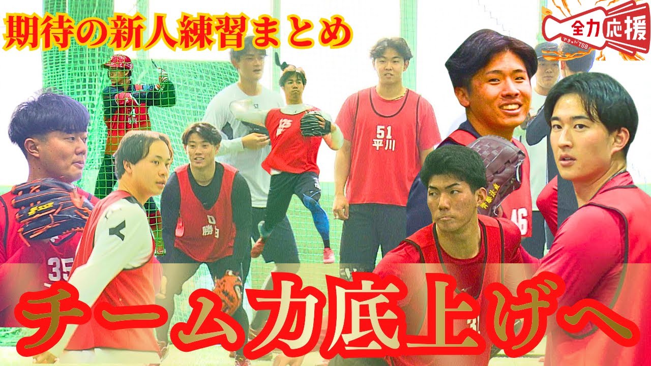 【カープ期待の新人練習まとめ】あなたが活躍を期待する選手は？【球団認定】カープ全力応援チャンネル