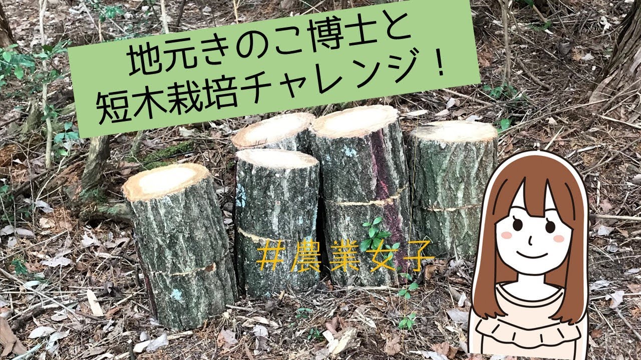 きのこ短木栽培とは？作り方を教えてもらいました