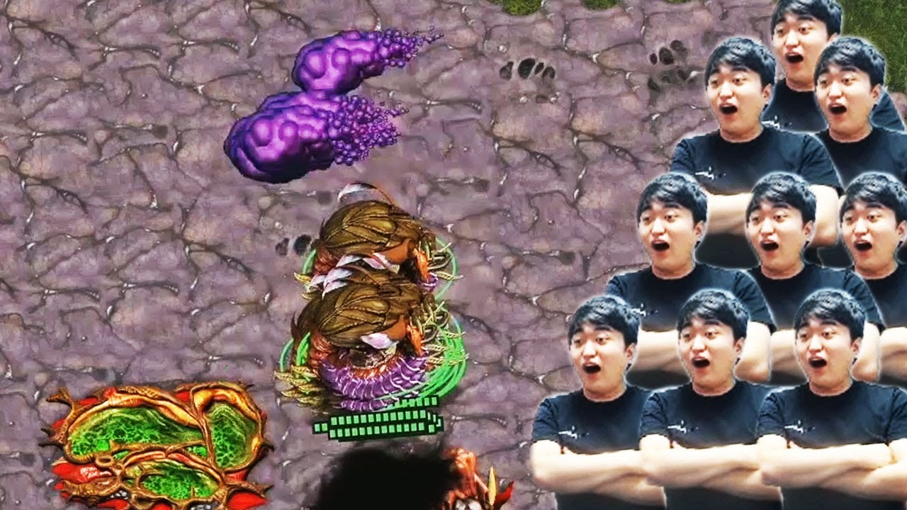 디바우러 백샷 어떻게 했누, 이 흑운장아
