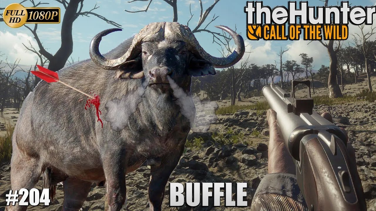 THEHUNTER CALL OF THE WILD GAMEPLAY #204 UNE NOUVELLE CHASSE AUX BUFFLES SUR PARQUE FERNANDO 2023
