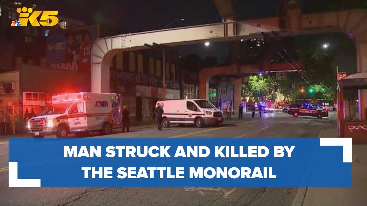 Man struck and killed by monorail
