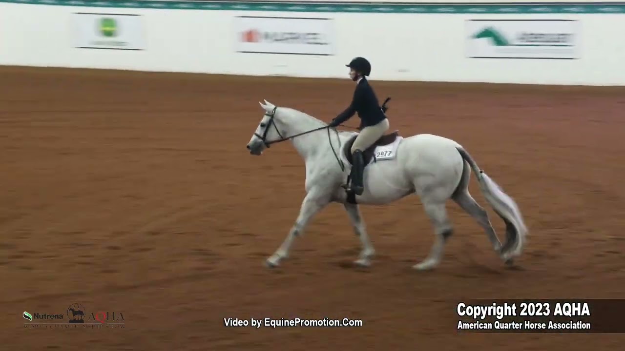 2023 AQHA World Championship Show Amateur Hunter Hack