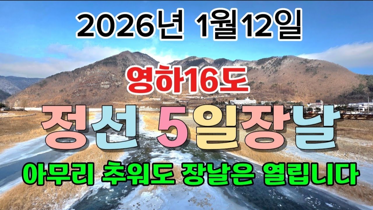 정선5일장날  / 날씨는 추워도 장날은 열립니다 