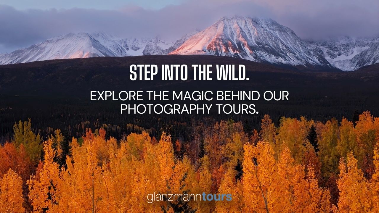 Step into the wild - A visual journey through our Photography Workshops -Yukon & Alaska