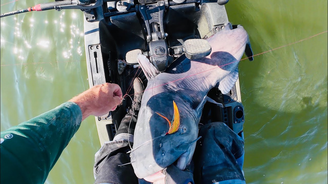 This Makes It All Worthwhile | Kayak Catfishing for Trophy Size Blue Catfish