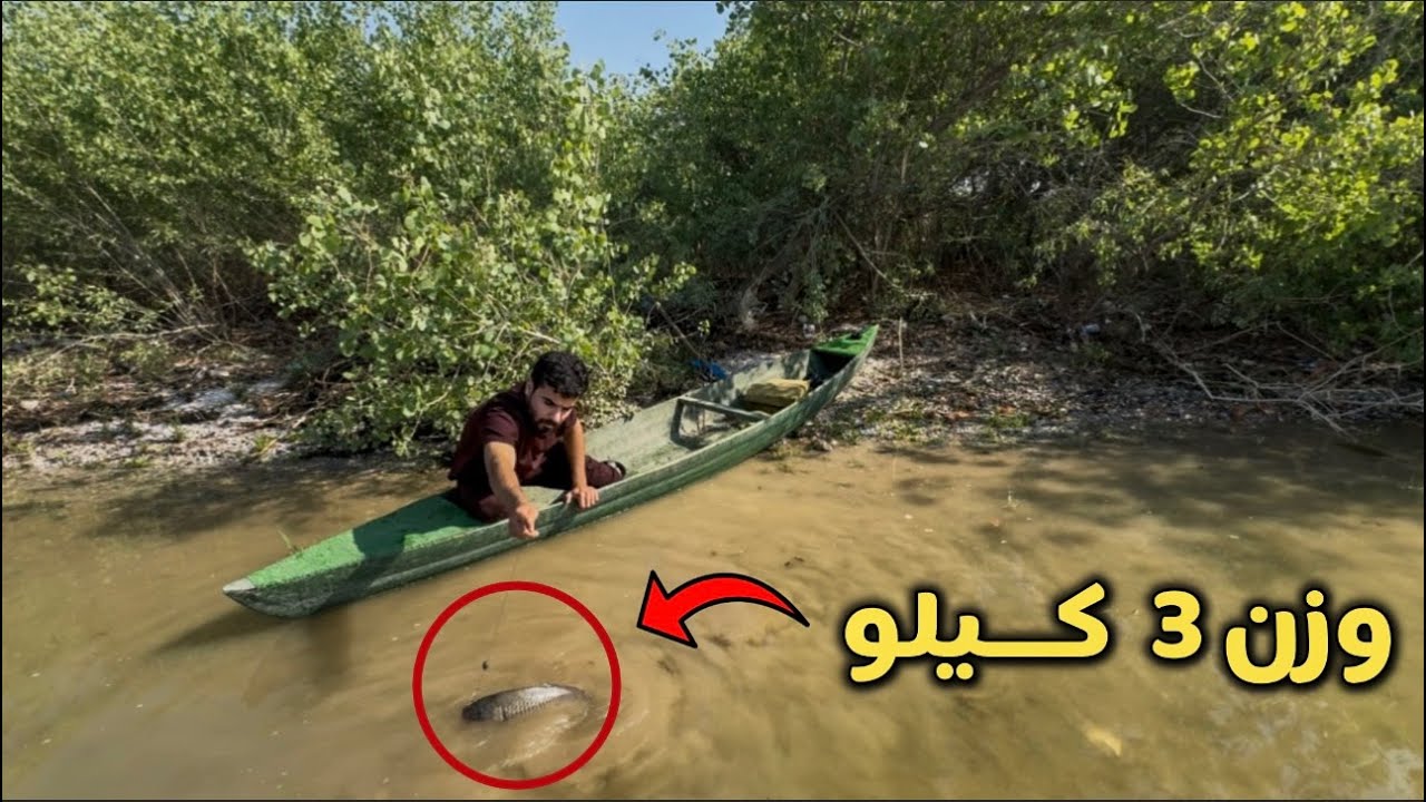 صيد السمتي وزن 3 كيلو من وسط الغابة 🇮🇶