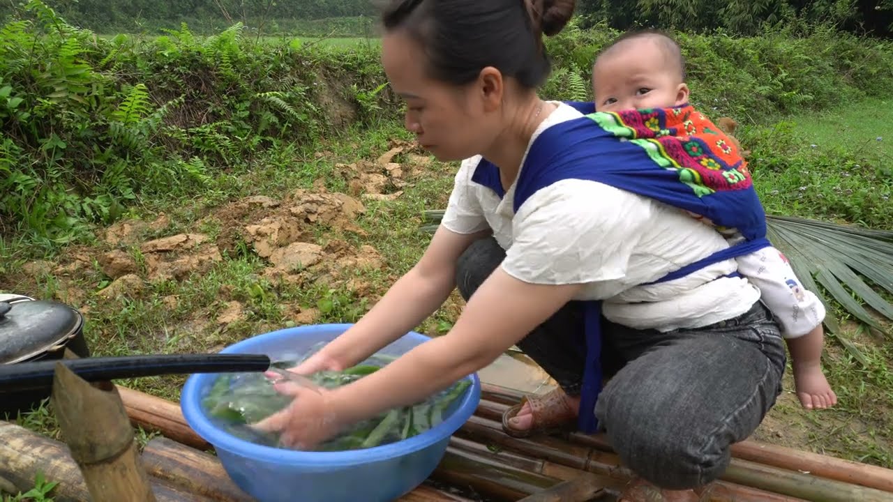 Process Of Making 3 Color Sticky Rice From Natural Leaves - Single mom, Daily life