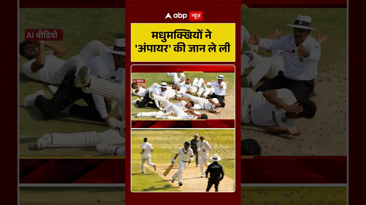 Viral News : मधुमक्खियों ने 'अंपायर' की जान ले ली | TOP News | Breaking News | #shorts