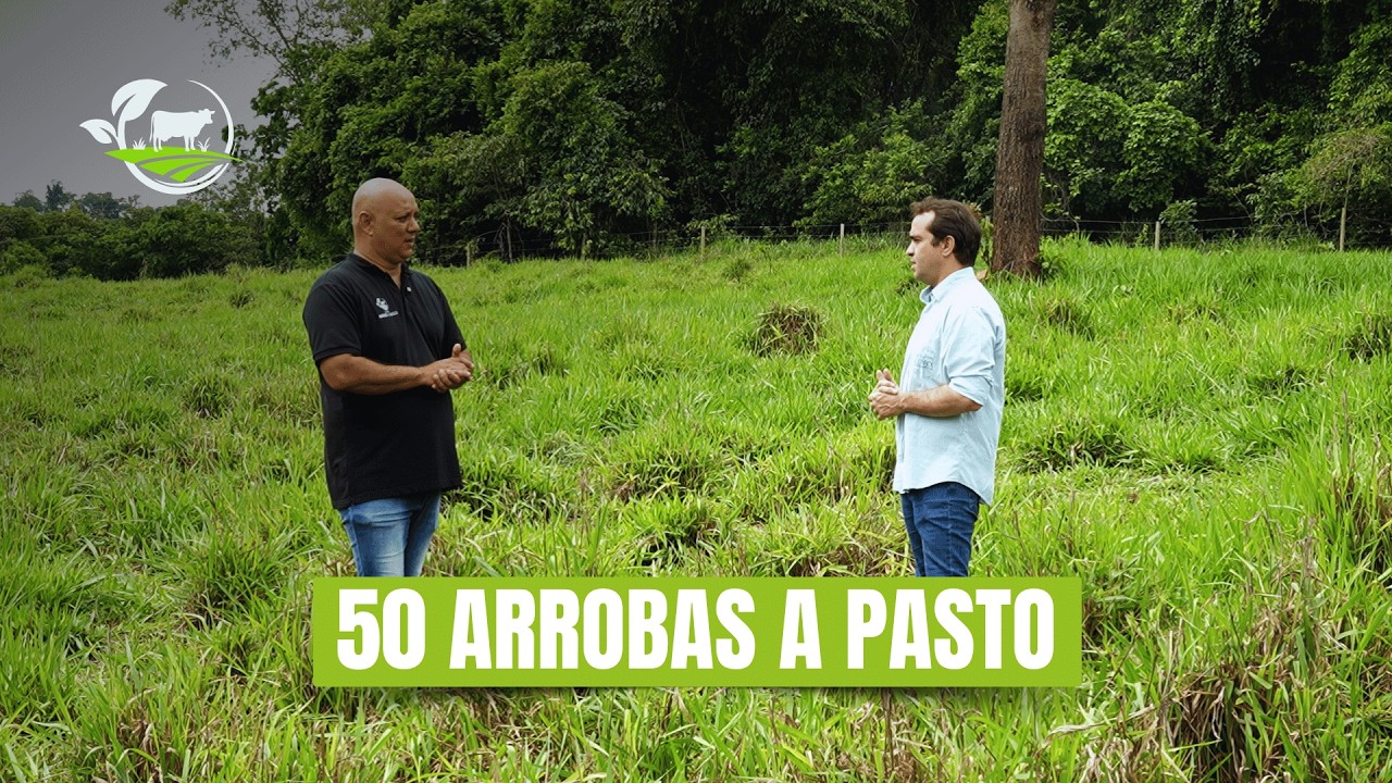 AGROVIVENDO - EP. 16 | Como Produzir 50 Arrobas por Hectare a Pasto (O Método da UFG)