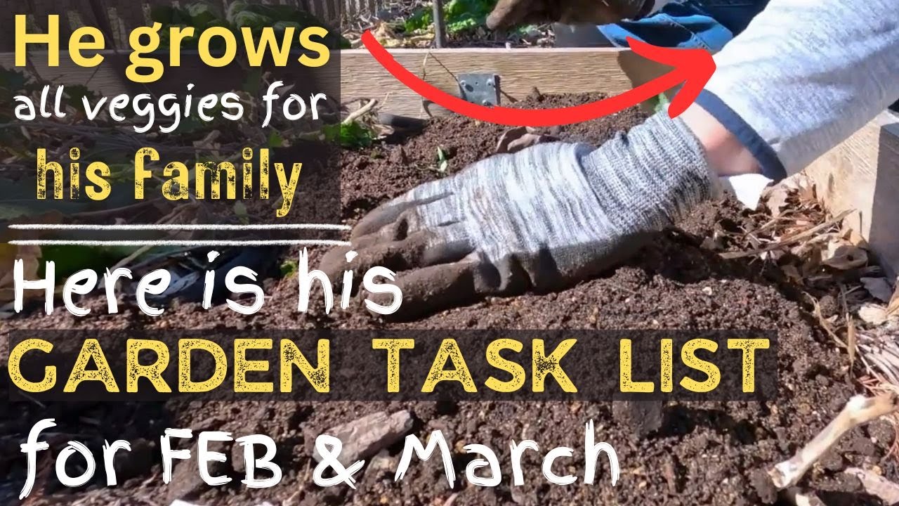 How to Prepare your garden for spring - Late-winter Garden tasks for February and March