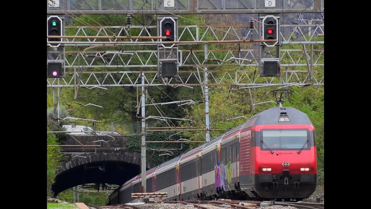 Speciale raccolta 2025