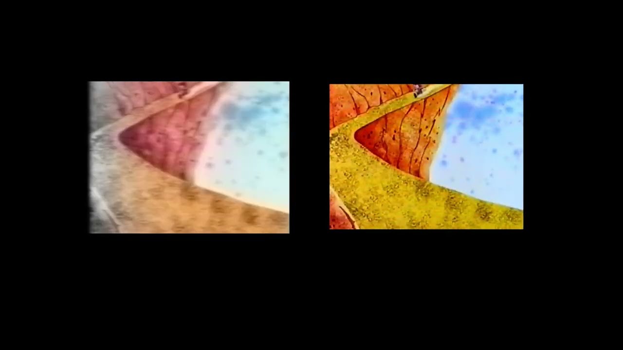 @rodrigojogos. AOSTH: E66 - Teasers and Final Version Comparison