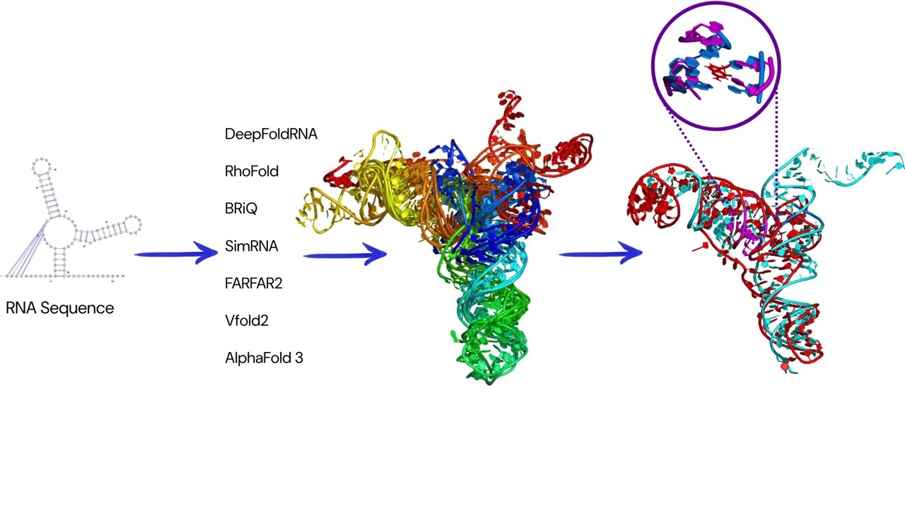 Evaluating RNA Structure Prediction Methods with a Focus on Binding Sites