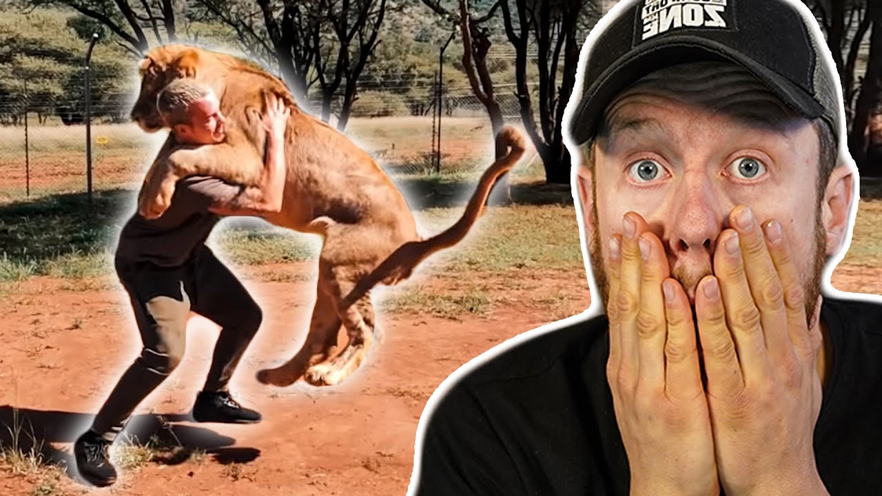 Er KUSCHELT mit einem LÖWEN 🦁 Reaction auf Dean Schneider | Fritz Meinecke Twitch Highlights