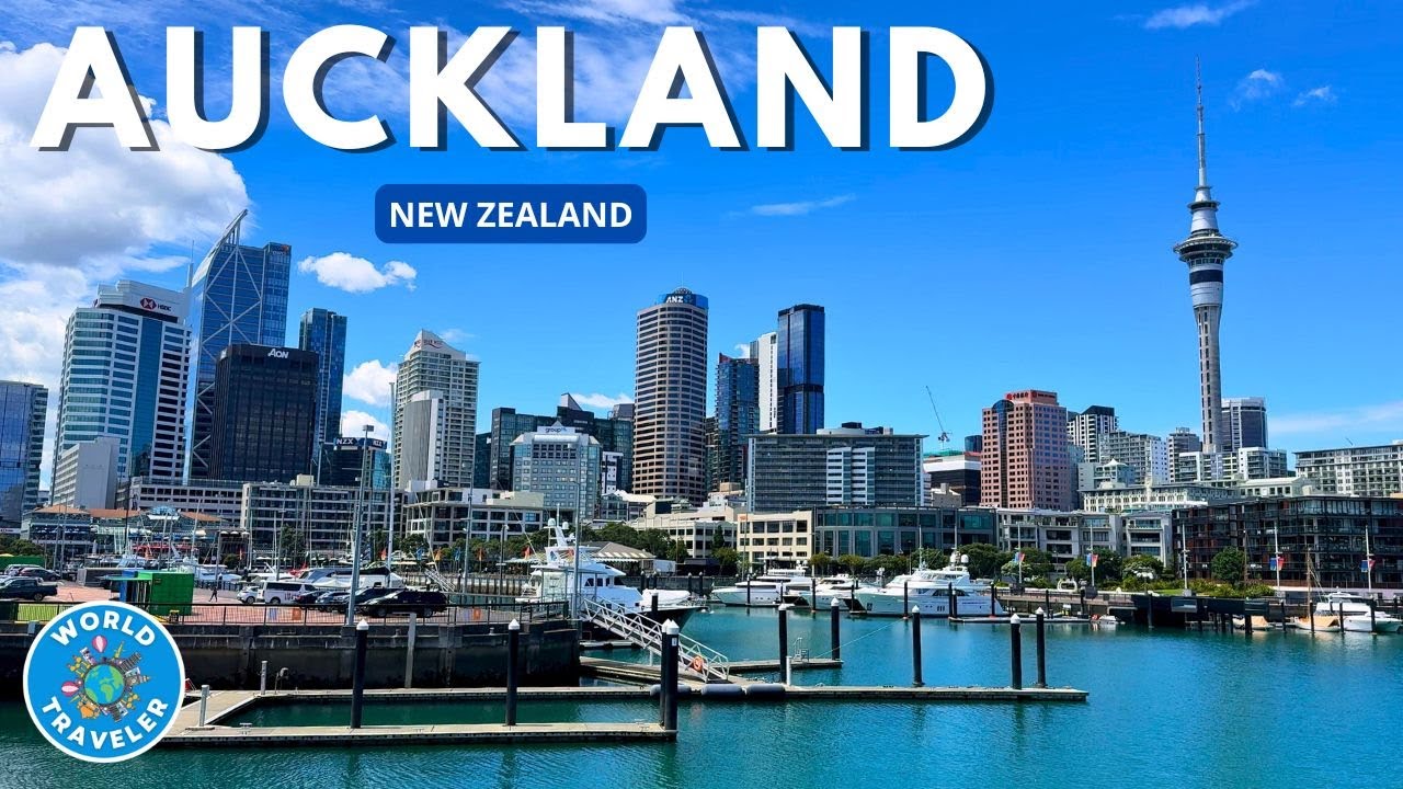 Auckland Morning Live Walking Tour | Explore the Heart of the City