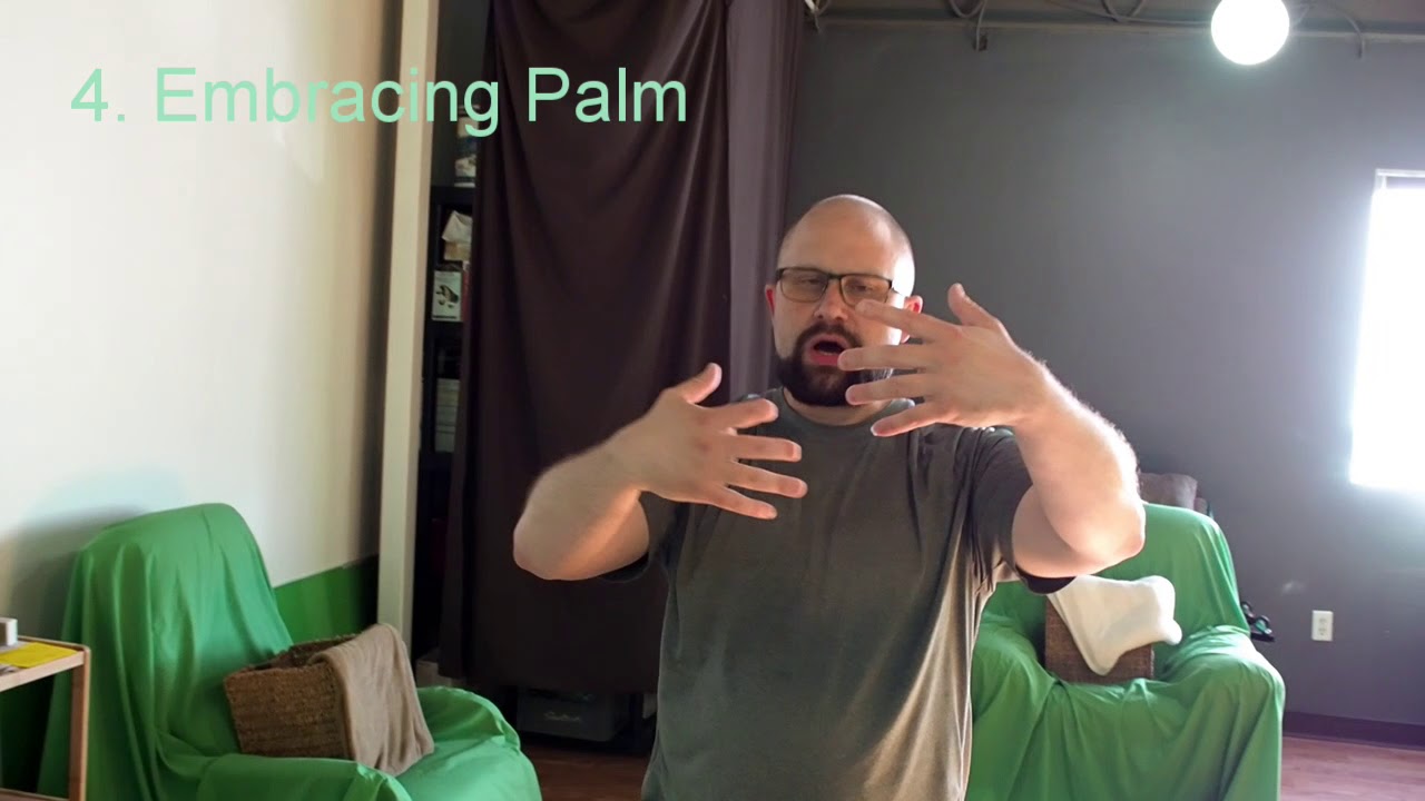 Jiang Style Baguazhang Martial Palms