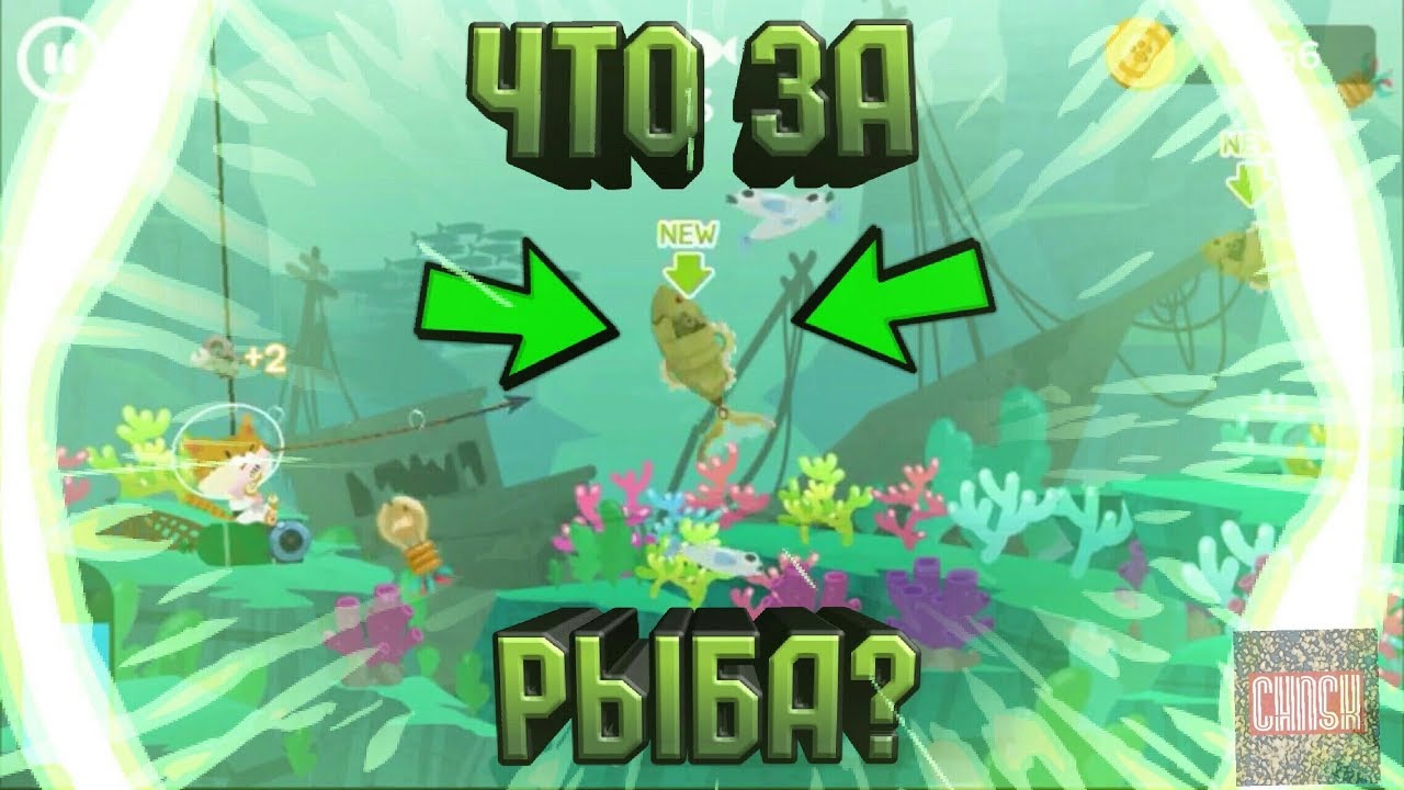 The FisherCat. ЛОВИМ РЫБУ ВСЕ ЛУЧШЕ!