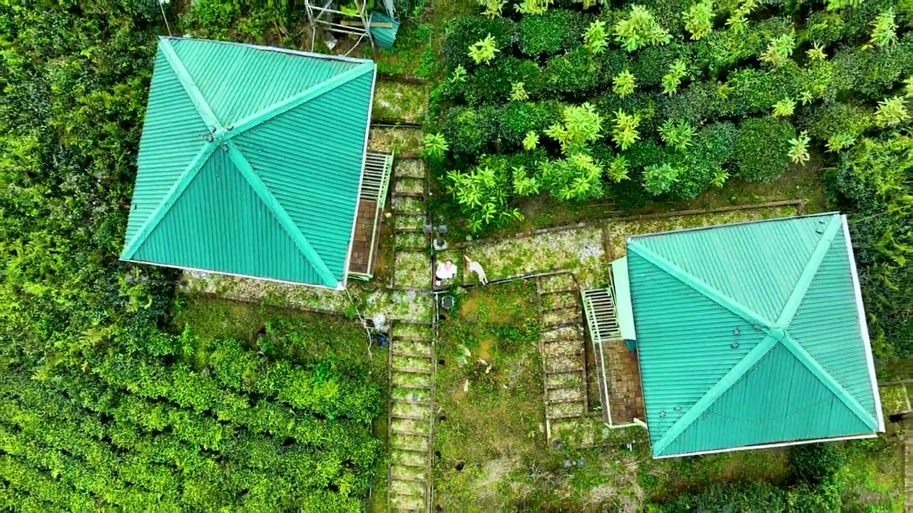 Akira Farm 01 2026