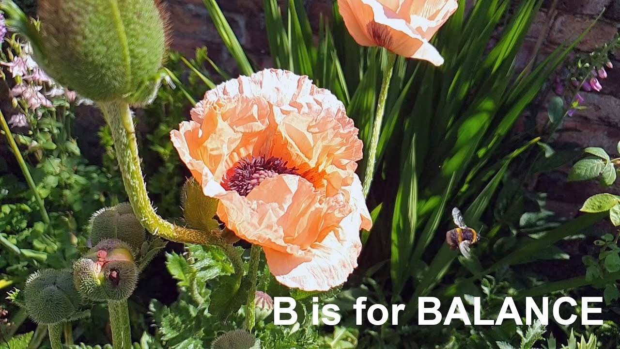 Postcard Six: B is for Balance