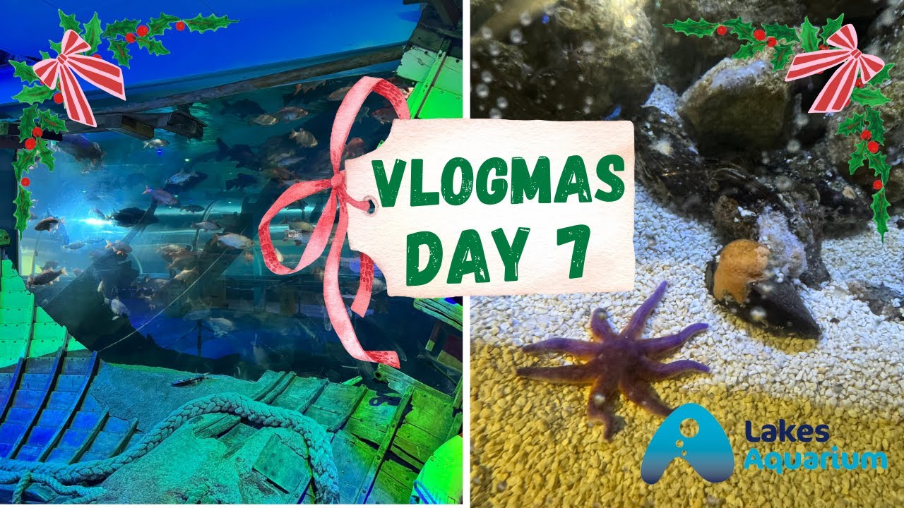 VLOGMAS DAY 7 🎄| Lakeside Aquarium - best aquarium for native species - the end of our Xmas break 🎁