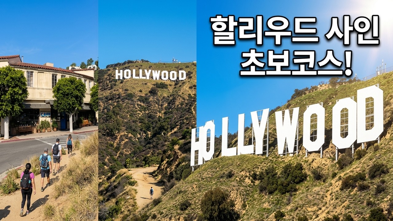 할리우드 사인 트레킹 초보 코스 | 비치우드 카페 출발 2시간 완주 Hollywood Sign Hiking Guide