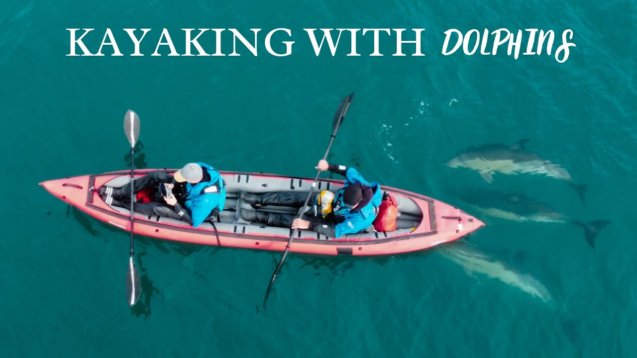 Kayaking with Dolphins! | 4K Cinematic Film / VLOG