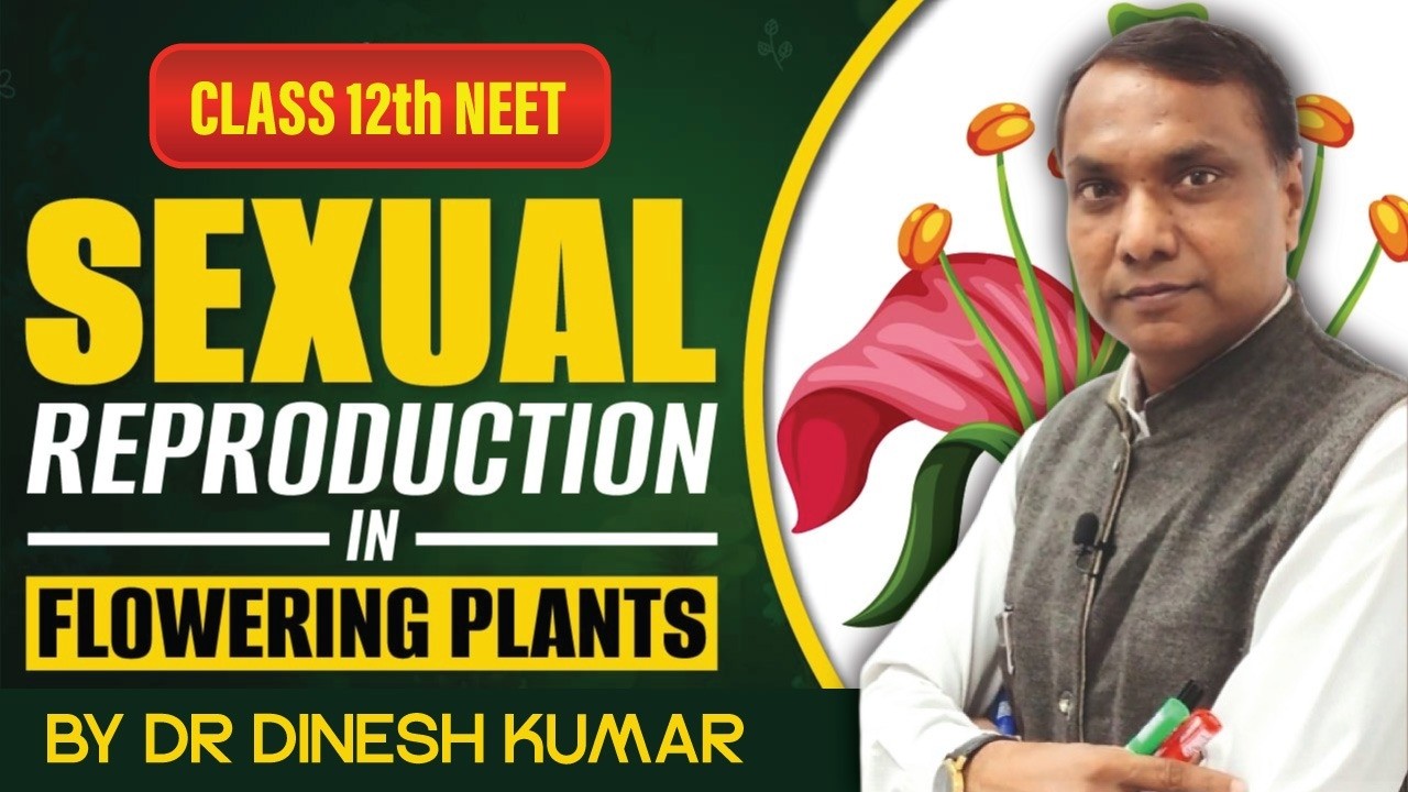Sexual Reproduction in Flowering Plants | Class 12 Biology | Full Chapter