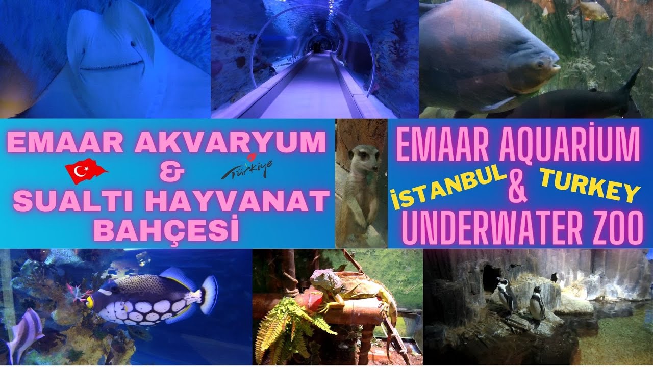 Emaar AKVARYUM & SUALTI HAYVANAT BAHÇESİ - Emaar AQUARİUM & UNDERWATER ZOO - İstanbul / TURKEY