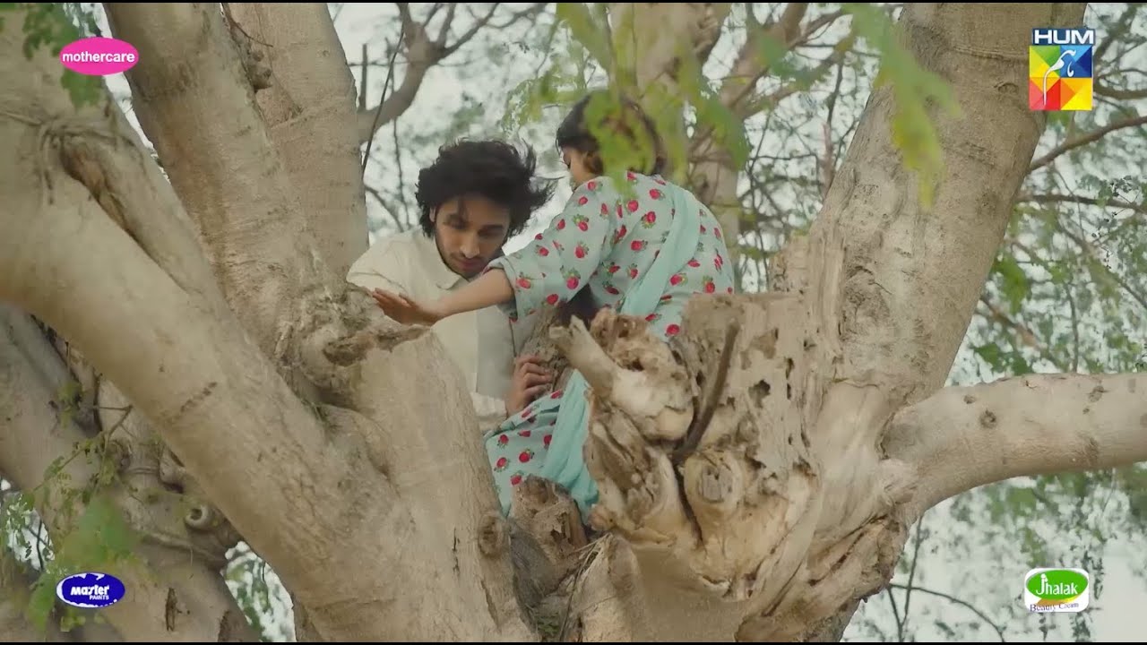 Ye Darakhat Pe Char Ke Kia Ho Raha Hai...?? #sajalali #hamzasohail - Zard Patton Ka Bunn - HUM TV