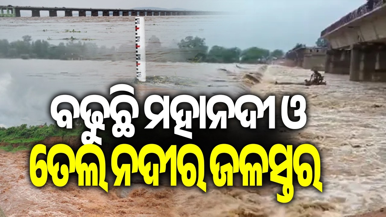 Heavy Rain Pushes Up Mahanadi and Tel River Water Levels | Kalinga TV